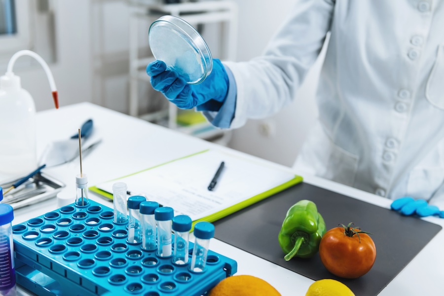 Nutritional Programming Across the Lifespan
